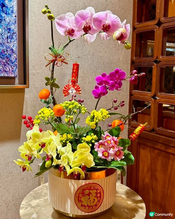 ## 蛇年花市夜拍📸  人少好行！