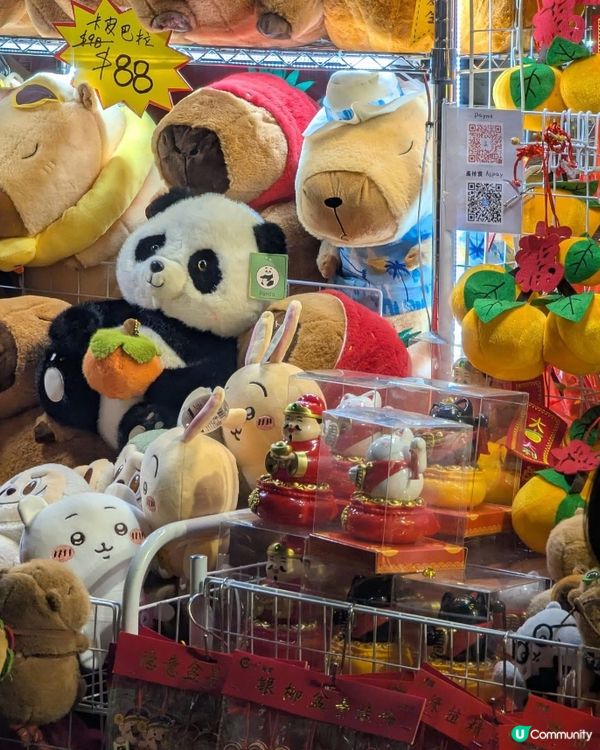 ## 蛇年花市夜拍📸  人少好行！