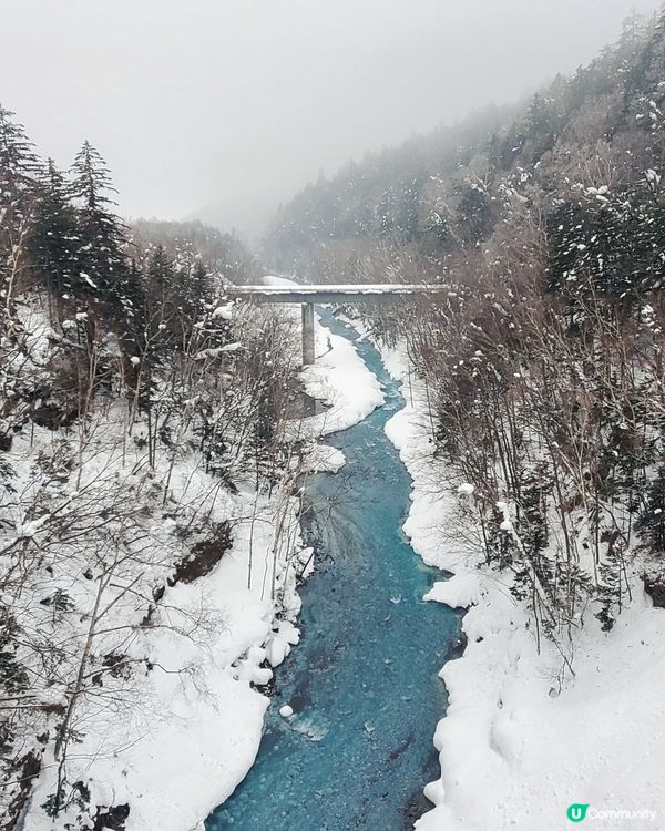北海道 ❄️白鬚瀑布