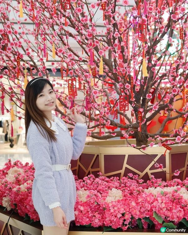 新年「大圍生活節」展開文化體驗之旅