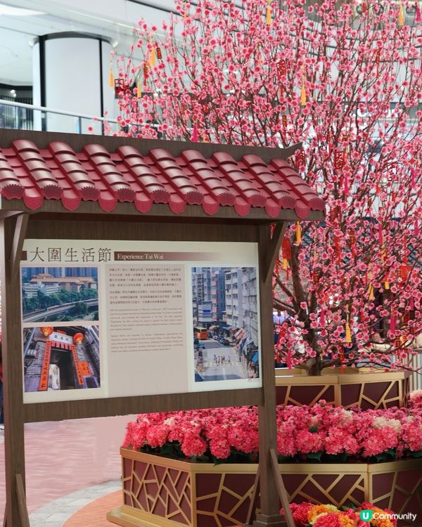 新年「大圍生活節」展開文化體驗之旅