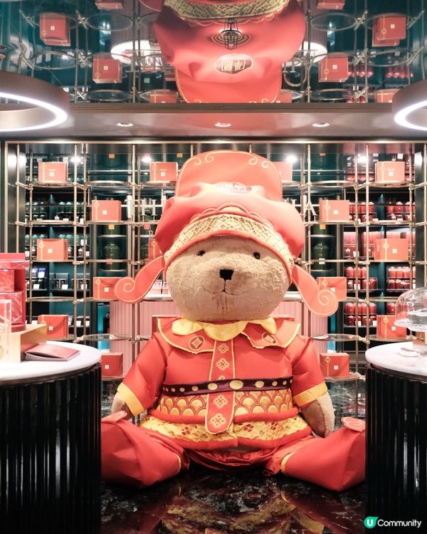 ✨半島小熊換咗新裝啦🧸❤️