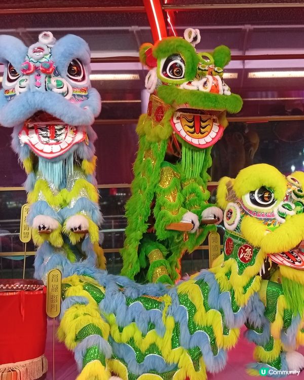  海港城醒獅長廊，彩獅鼓躍新年佈置！🎉🦁