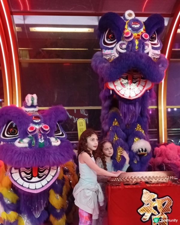  海港城醒獅長廊，彩獅鼓躍新年佈置！🎉🦁