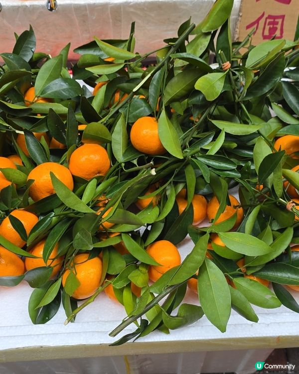 #好去處 #全新景點 #打卡 #甜甜蜜蜜過新年 #2025c...