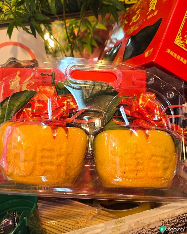 #好去處 #全新景點 #打卡 #甜甜蜜蜜過新年 #2025c...