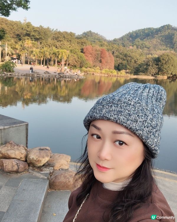 🌲仙湖公園絕美落雨杉🌲