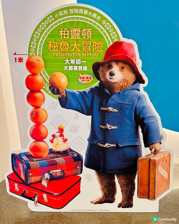 難以熊忍的可愛 源頭橙事成英熊