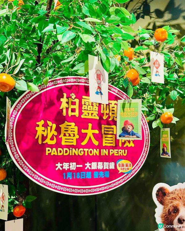 難以熊忍的可愛 源頭橙事成英熊