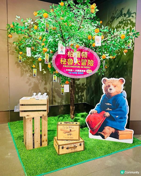 難以熊忍的可愛 源頭橙事成英熊