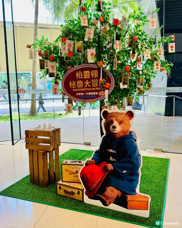 難以熊忍的可愛 源頭橙事成英熊