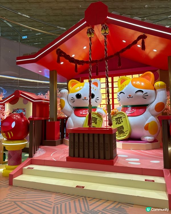 新春日式福貓神社⛩️😍