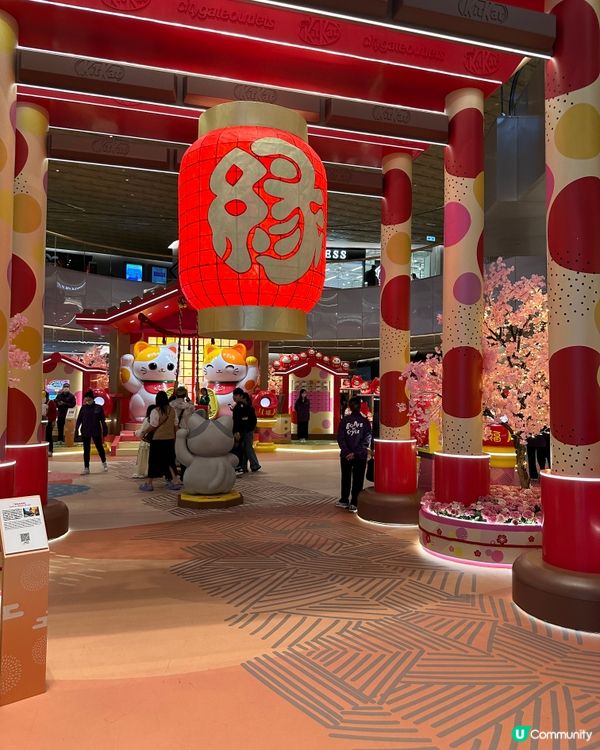 新春日式福貓神社⛩️😍