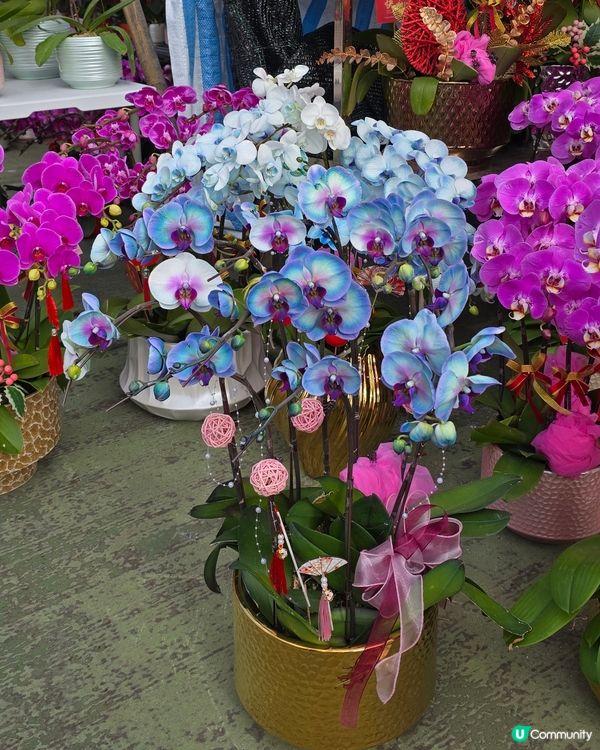 元朗花市掃街😋 糖蔥餅必食推介！