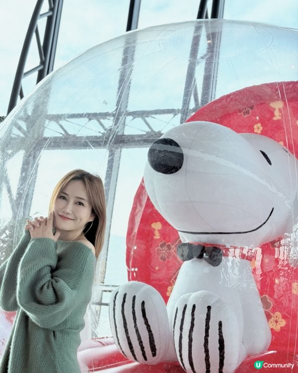 Snoopy 帶我去葡一萄