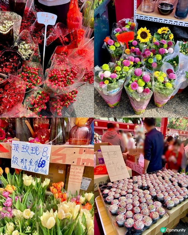 ✨深圳🇨🇳-⚠️💬花市節日氣氛濃厚💢值得去嗎⁉️📣含交通資訊✅