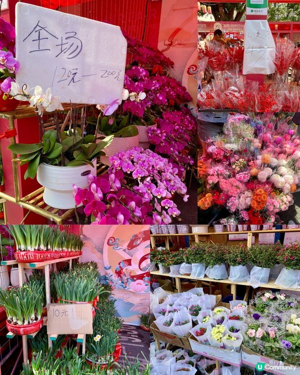 ✨深圳🇨🇳-⚠️💬花市節日氣氛濃厚💢值得去嗎⁉️📣含交通資訊✅