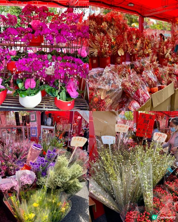 ✨深圳🇨🇳-⚠️💬花市節日氣氛濃厚💢值得去嗎⁉️📣含交通資訊✅