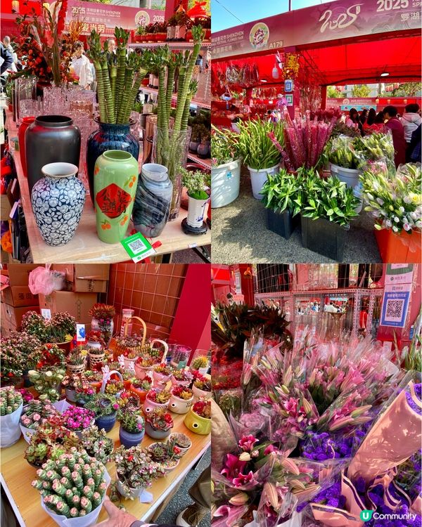 ✨深圳🇨🇳-⚠️💬花市節日氣氛濃厚💢值得去嗎⁉️📣含交通資訊✅