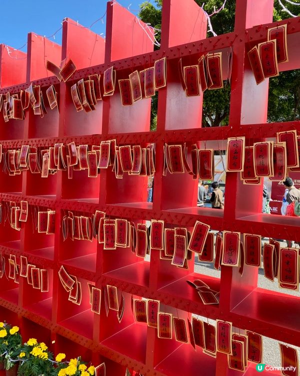 ✨深圳🇨🇳-⚠️💬花市節日氣氛濃厚💢值得去嗎⁉️📣含交通資訊✅