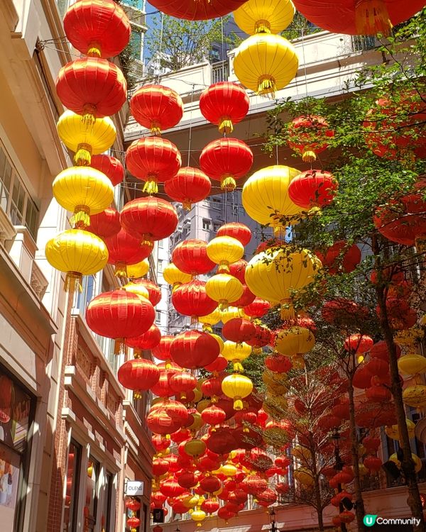 🧧燈籠飄飄～利東街