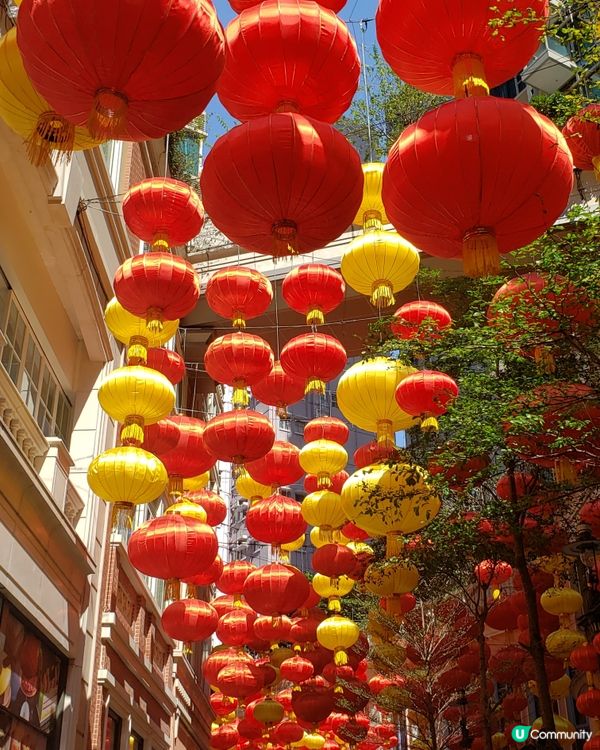 🧧燈籠飄飄～利東街