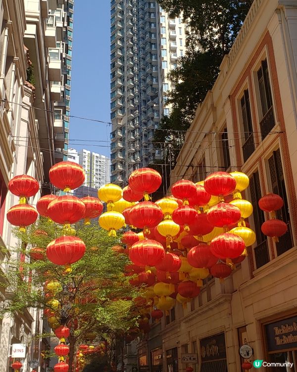 🧧燈籠飄飄～利東街