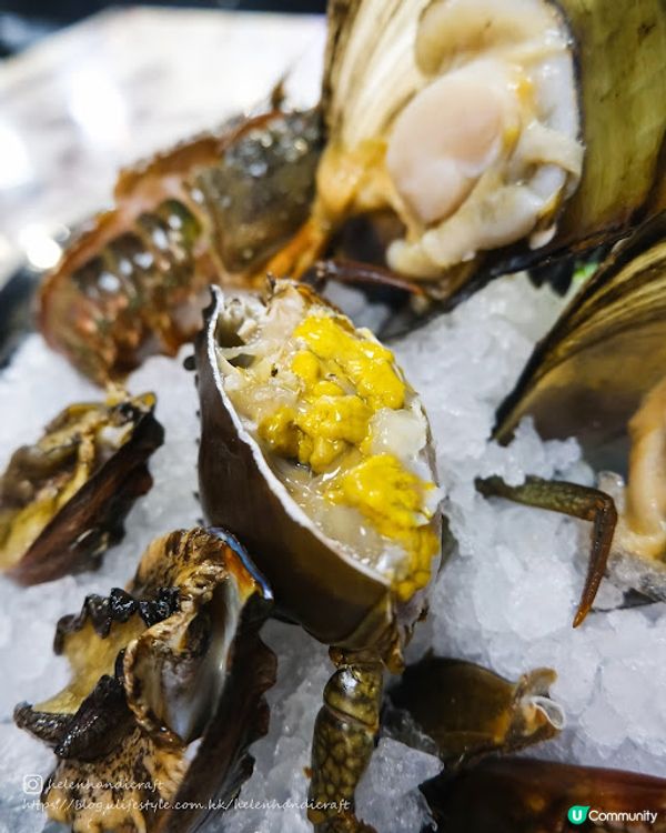 【吃下尖沙咀】訪新店繼續超鮮活任食海鮮火鍋 - 阿爺八鮮鍋