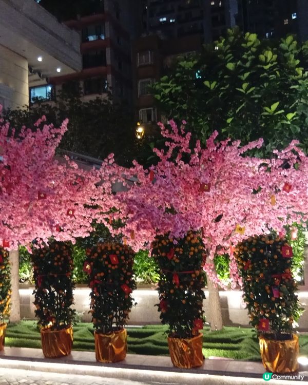 利東街🏮新年燈籠海，喜慶燈海過新年！