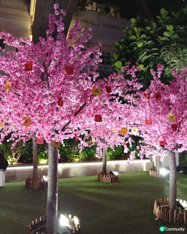 利東街🏮新年燈籠海，喜慶燈海過新年！