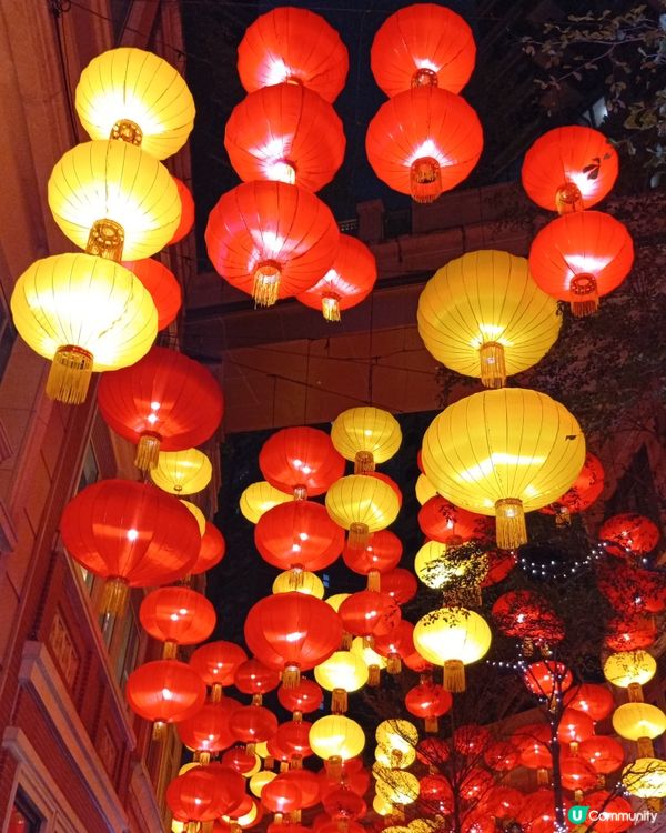 利東街🏮新年燈籠海，喜慶燈海過新年！