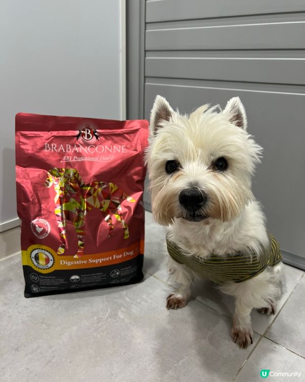 改善狗狗腸胃健康低敏感糧