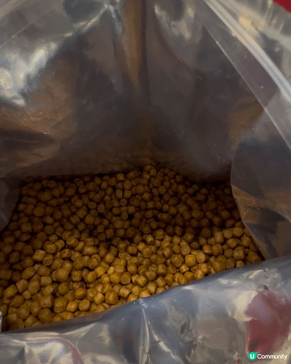 改善狗狗腸胃健康低敏感糧