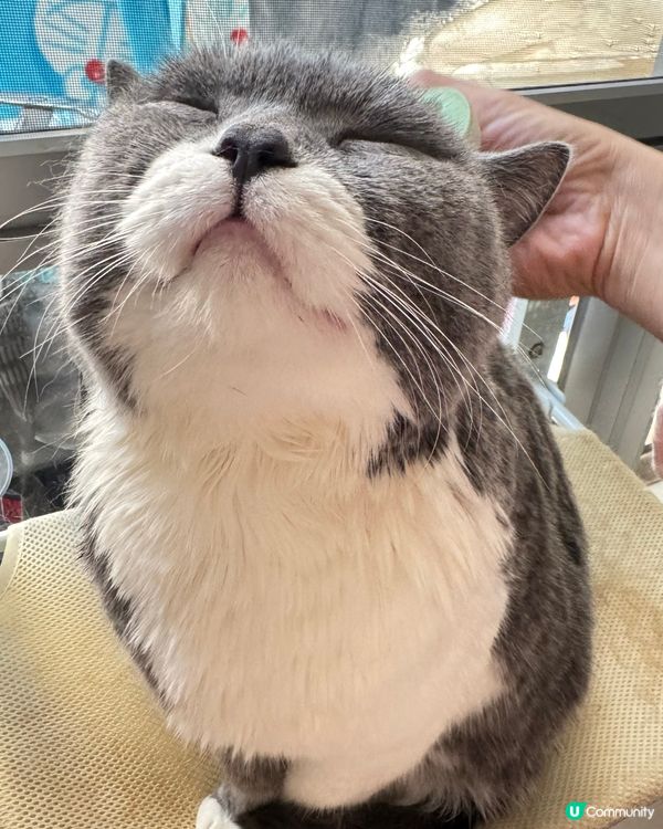 ✨冲返個靚凉迎新年✨