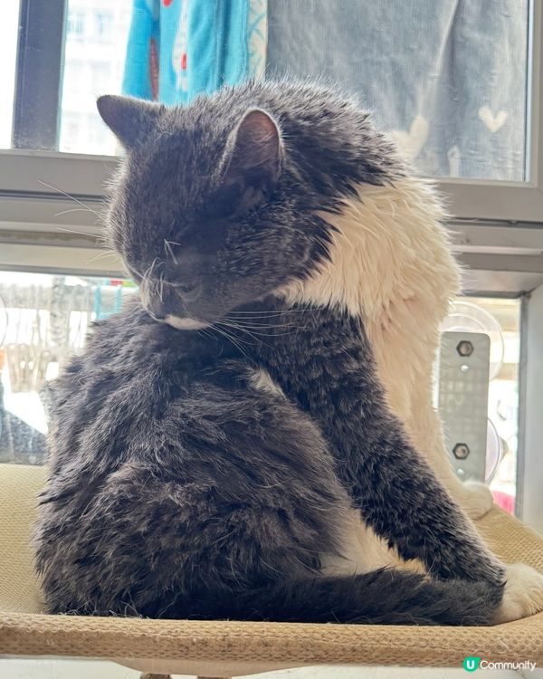 ✨冲返個靚凉迎新年✨