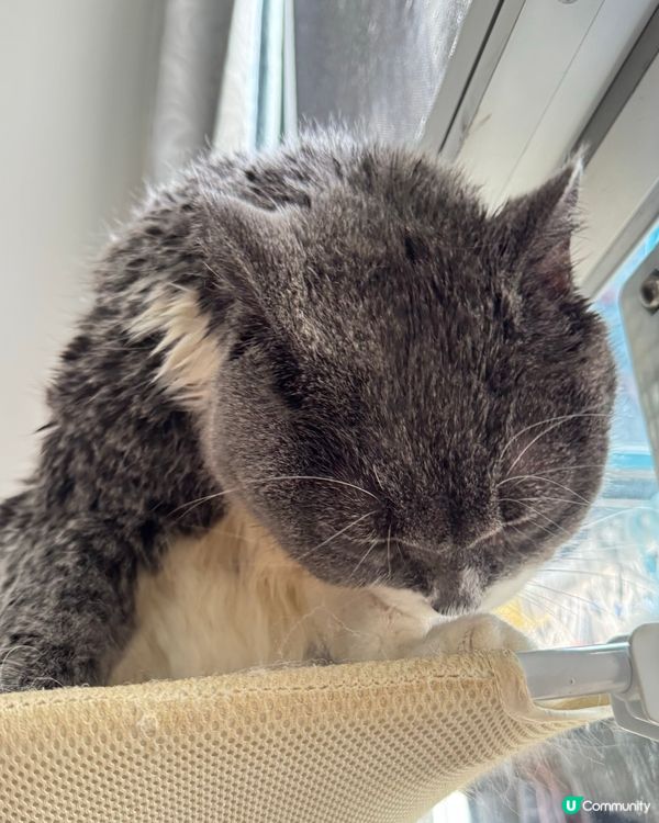 ✨冲返個靚凉迎新年✨