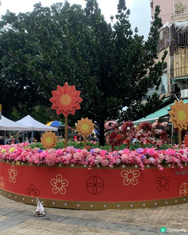 新春2025年 花墟買年花限定活動