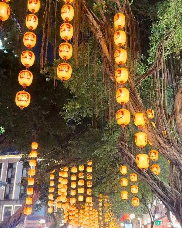 🎋廣州花市 🌼🌸 好熱鬧😲