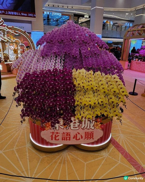 超尢超美蘭花展賀蛇年