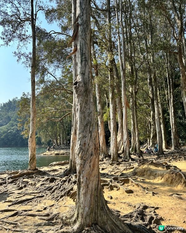 荃灣城門水塘打卡之旅 🏞️