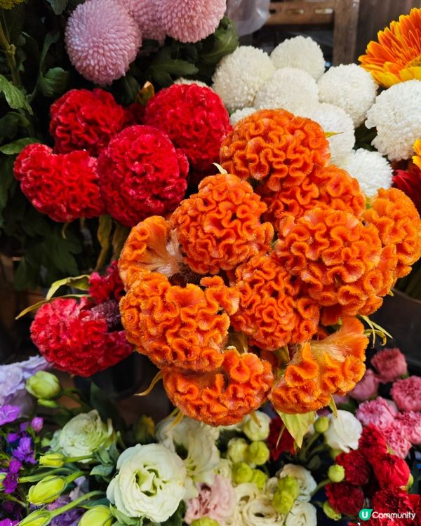 🌺✨花全部都係花✨🌺 買年花選擇