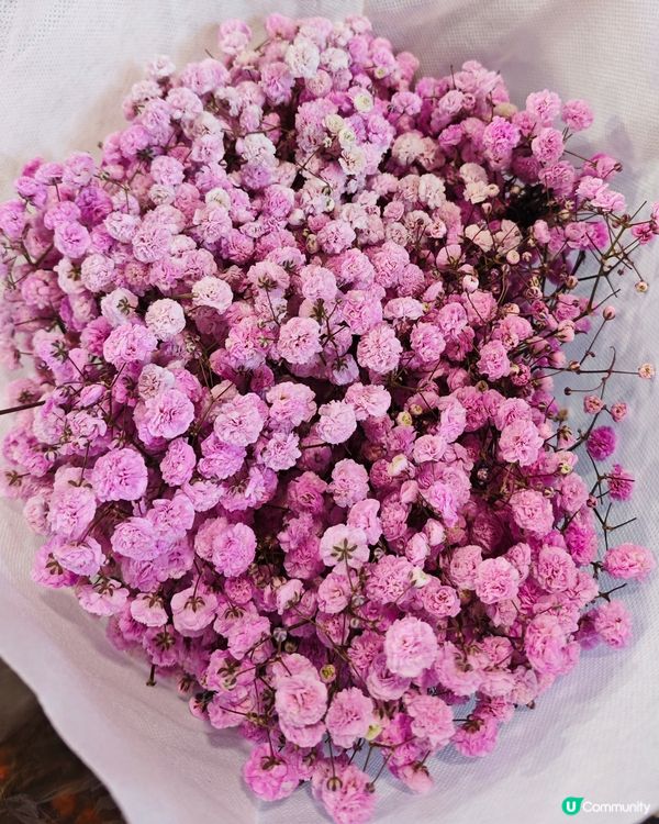 🌺✨花全部都係花✨🌺 買年花選擇