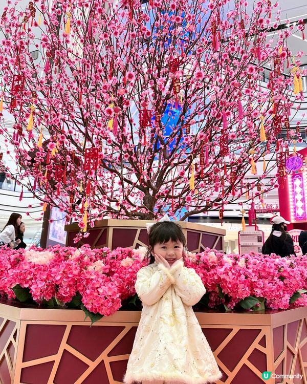 The Wai 圍方 - 大圍生活節🪭