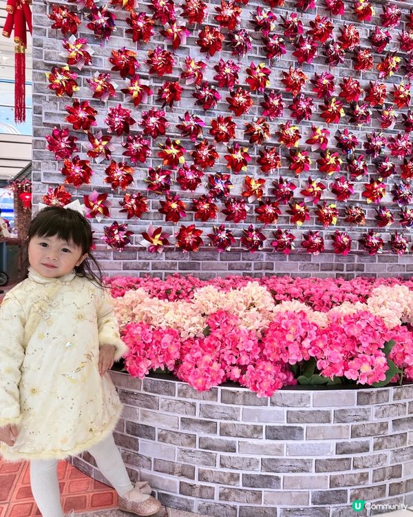 The Wai 圍方 - 大圍生活節🪭