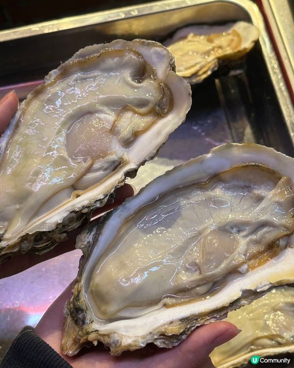 深圳水圍炭爐火鍋