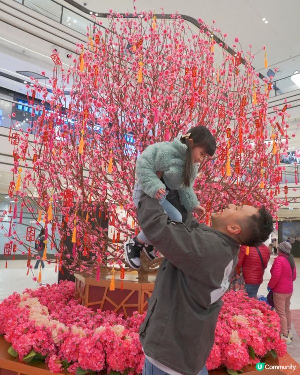 2025CNY商場打卡｜大圍圍方｜一起感受大圍傳統文化新體驗