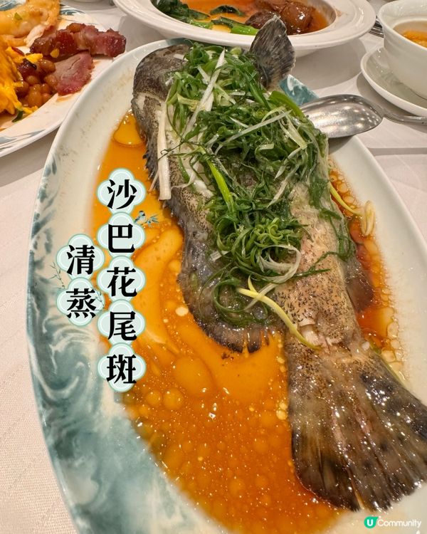 買一送一$548食龍蝦鮑魚餐！？