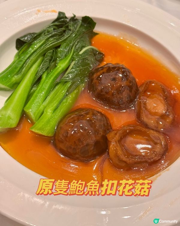 買一送一$548食龍蝦鮑魚餐！？