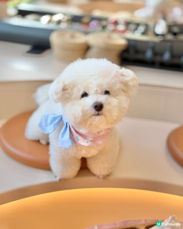 荔枝角靚靚美容店做納米無針水光槍