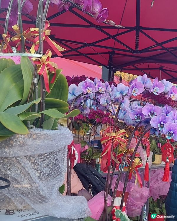 旺角年宵市場，花開富貴